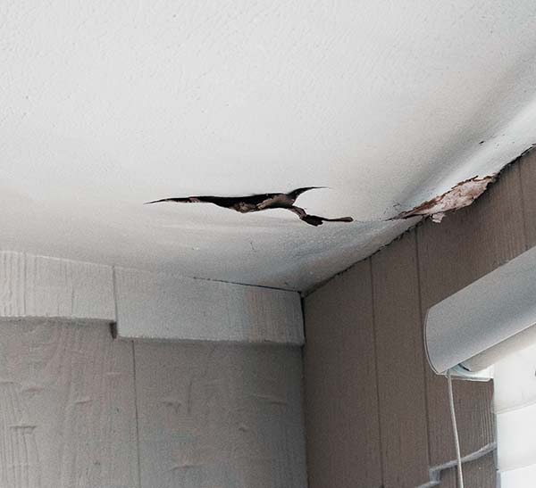 Damaged ceiling with cracks and peeling paint, expert repair services by Heron Ceilings.