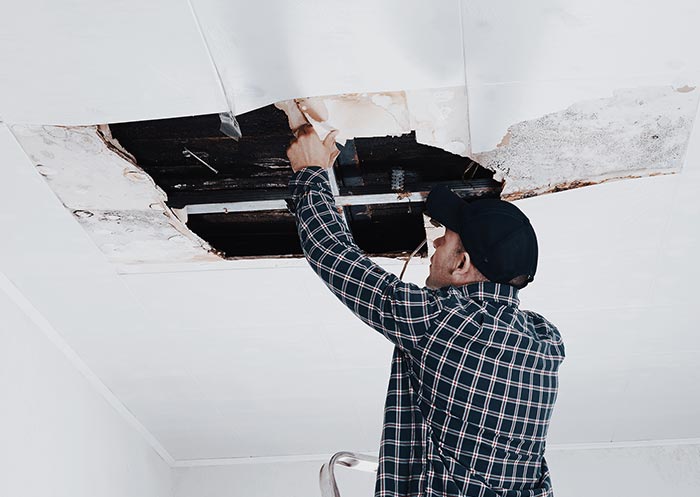 Professional ceiling repair and maintenance services in Australia.