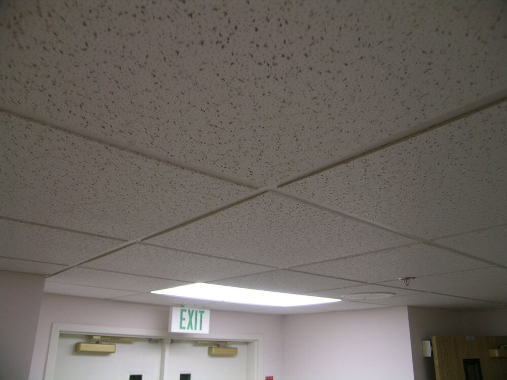 Durable suspended acoustic ceiling tiles in commercial spaces ensuring noise reduction.
